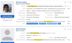 CV Search Engine