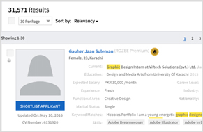CV Search Engine